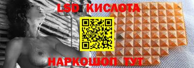 прущие крисы Бийск