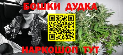 прущие крисы Бийск