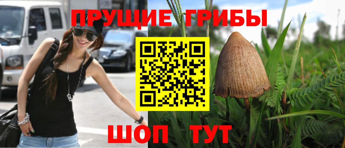 Галлюциногенные грибы Magic Shrooms  Вход с VPN  Псилоцибиновые грибы Psilocybine cubensis  Качканар 