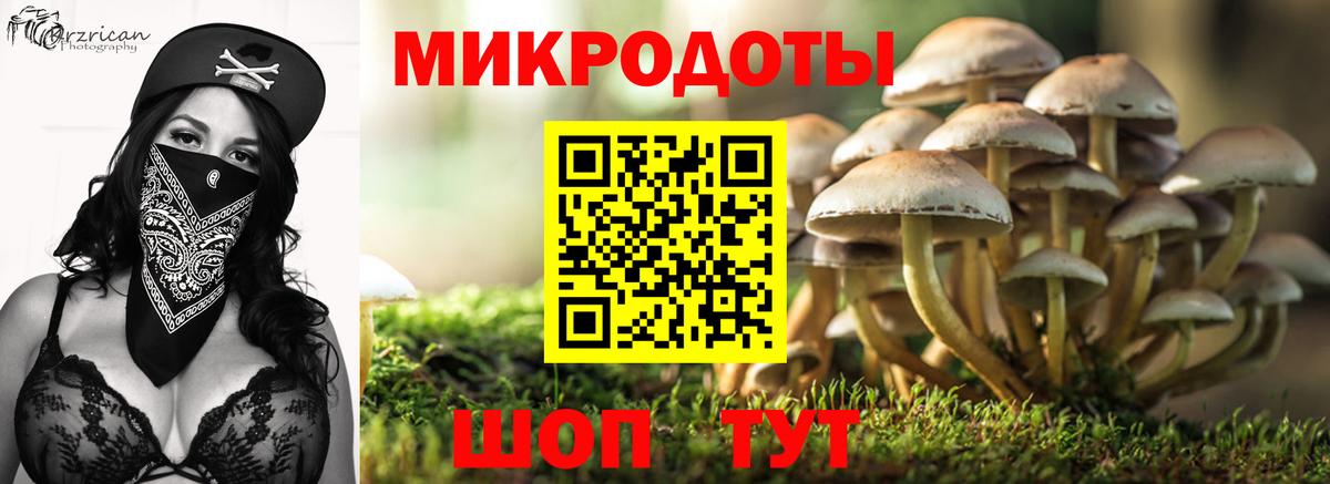 Галлюциногенные грибы прущие грибы Качканар