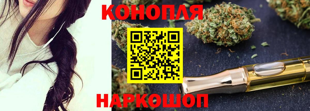 Шишки марихуана план Качканар